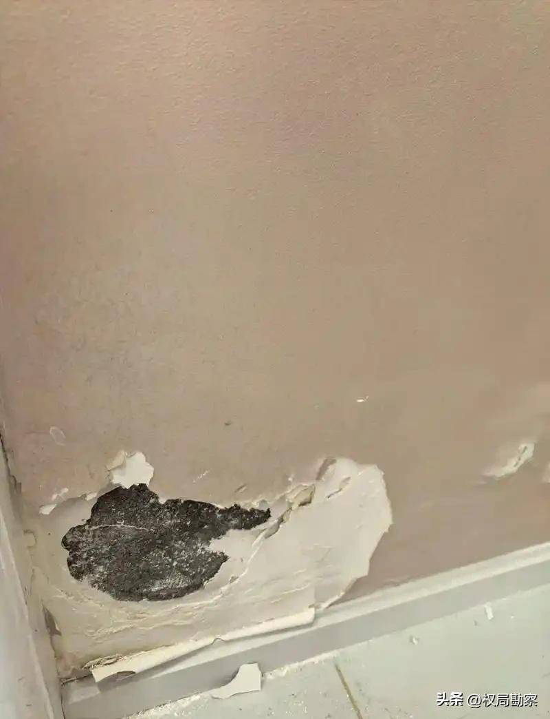 !房企资金紧张就偷工减料新房秒变凯发国际K8又一灰色产业链浮出(图26) !房企资金紧张就偷工减料新房秒变凯发国际K8又一灰色产业链浮出(图26)