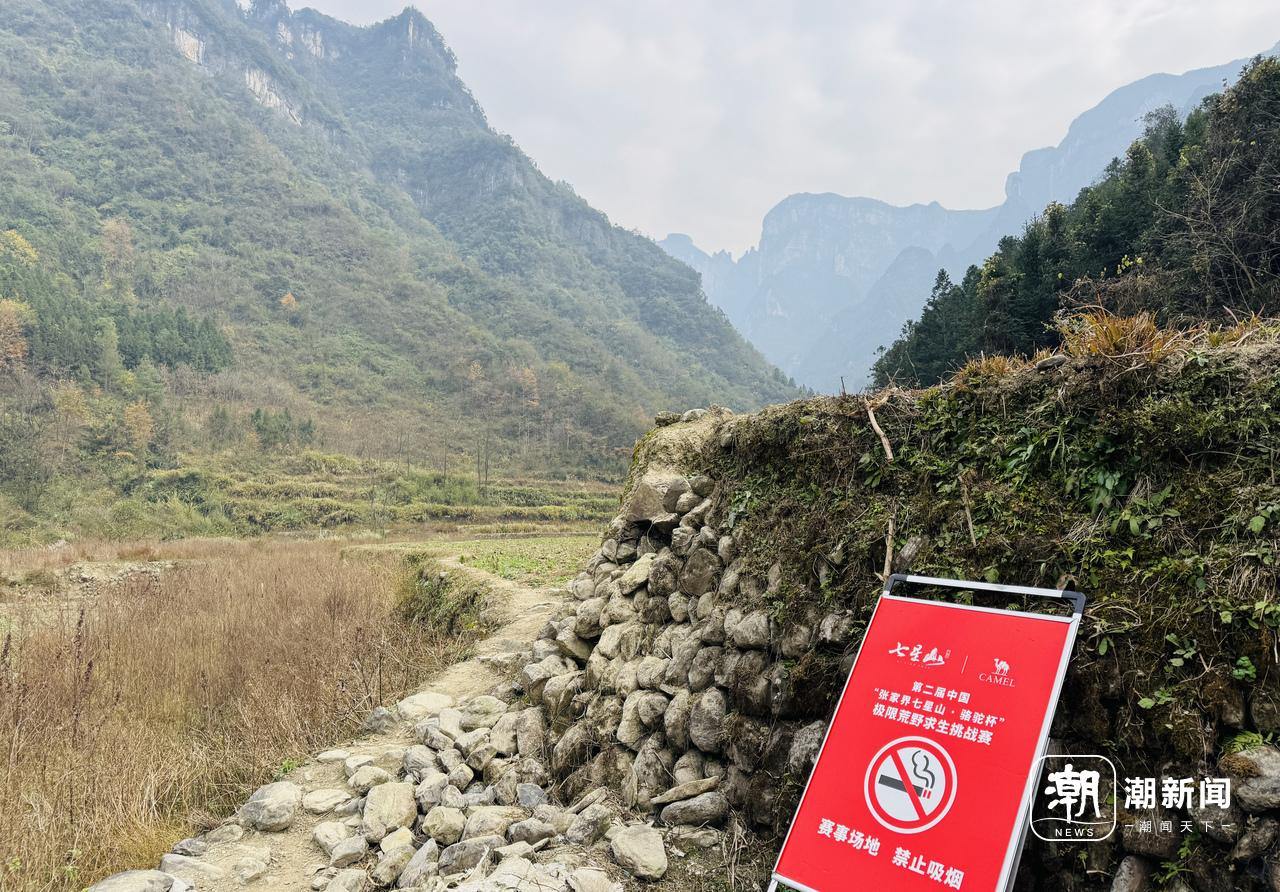 量与规则之间的“荒野求生”凯发入口一场摸索于山野、流(图2)