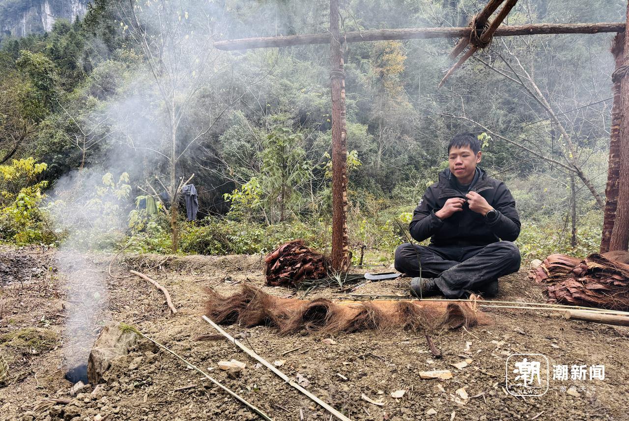 量与规则之间的“荒野求生”凯发入口一场摸索于山野、流(图3)