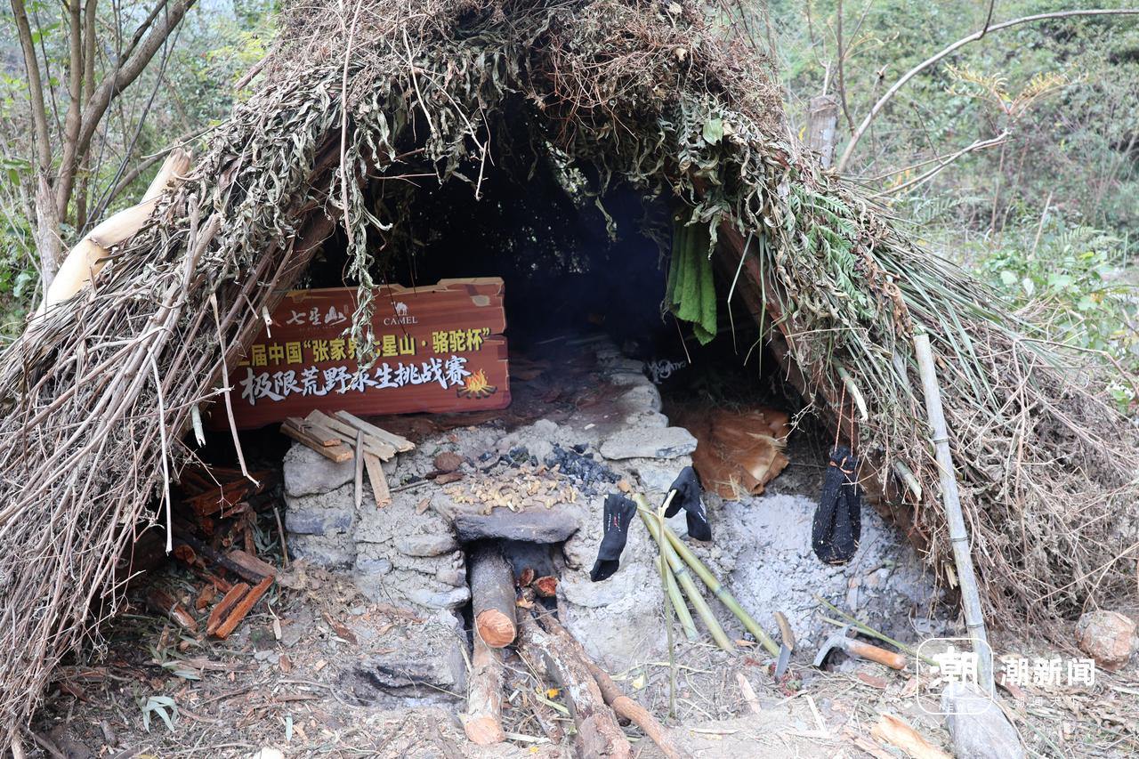 量与规则之间的“荒野求生”凯发入口一场摸索于山野、流(图6)