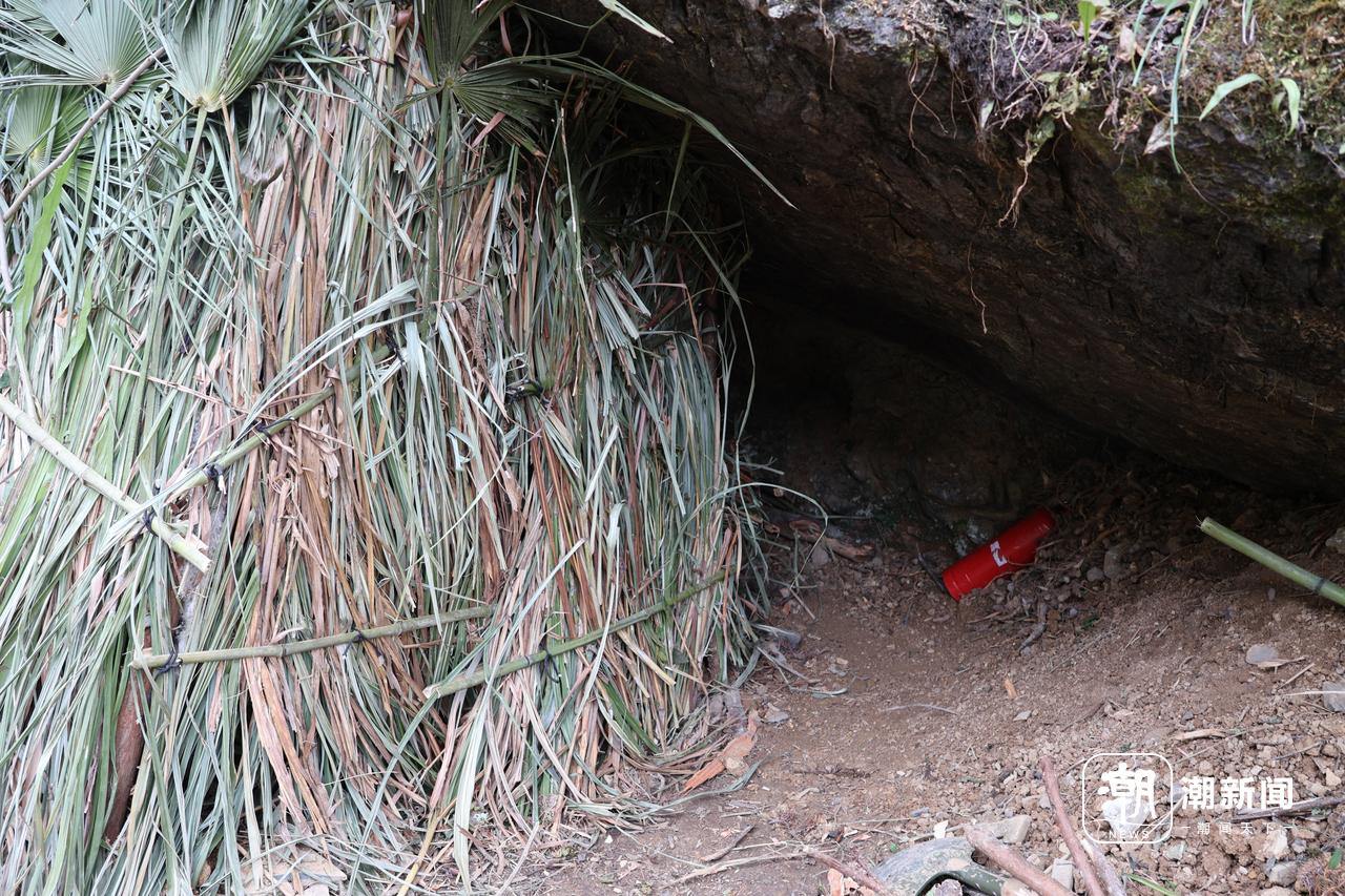 量与规则之间的“荒野求生”凯发入口一场摸索于山野、流(图8)