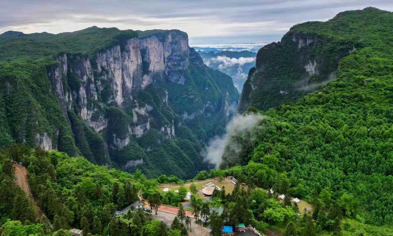 量与规则之间的“荒野求生”凯发入口一场摸索于山野、流(图11)
