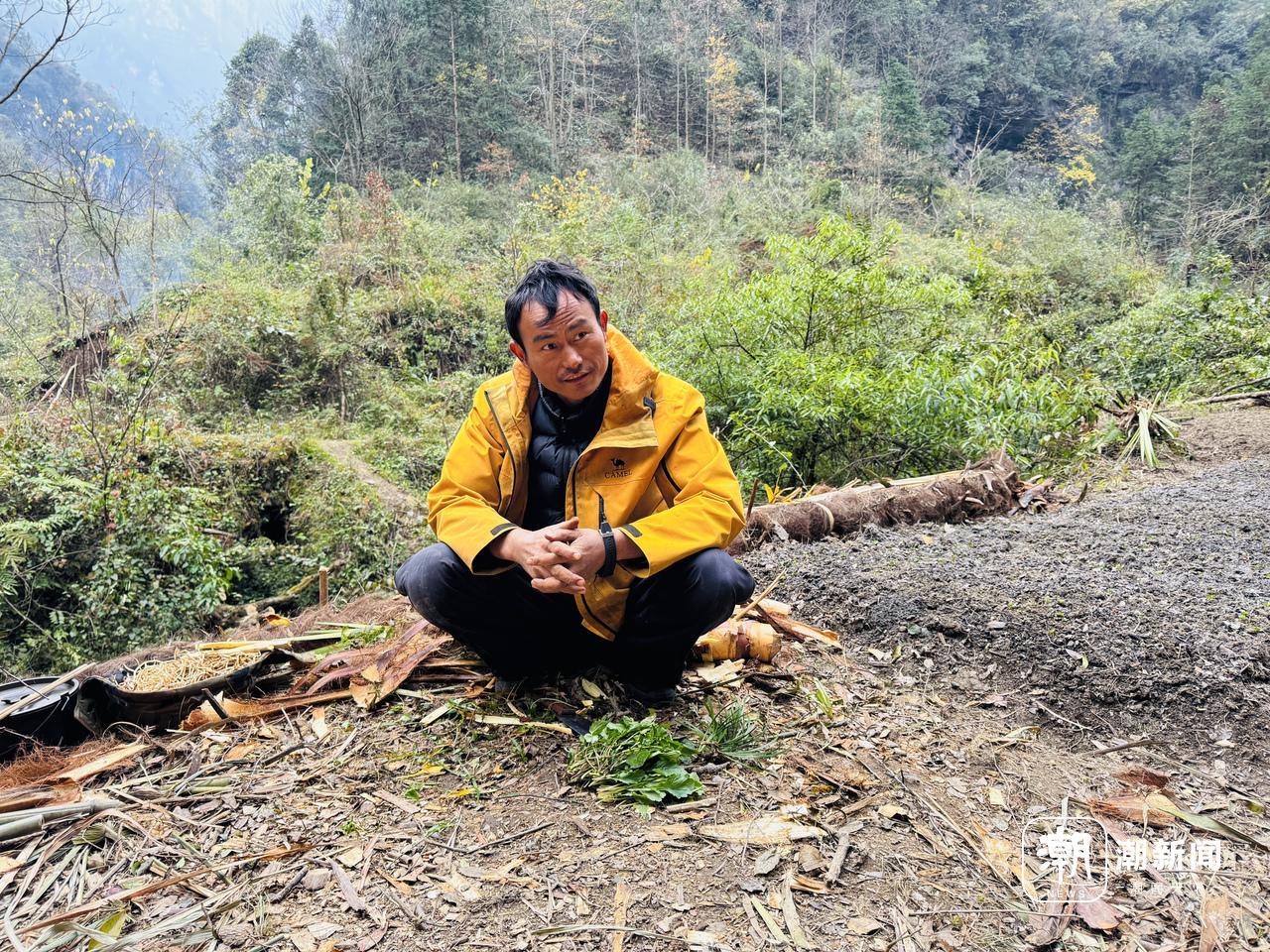 量与规则之间的“荒野求生”凯发入口一场摸索于山野、流(图12)