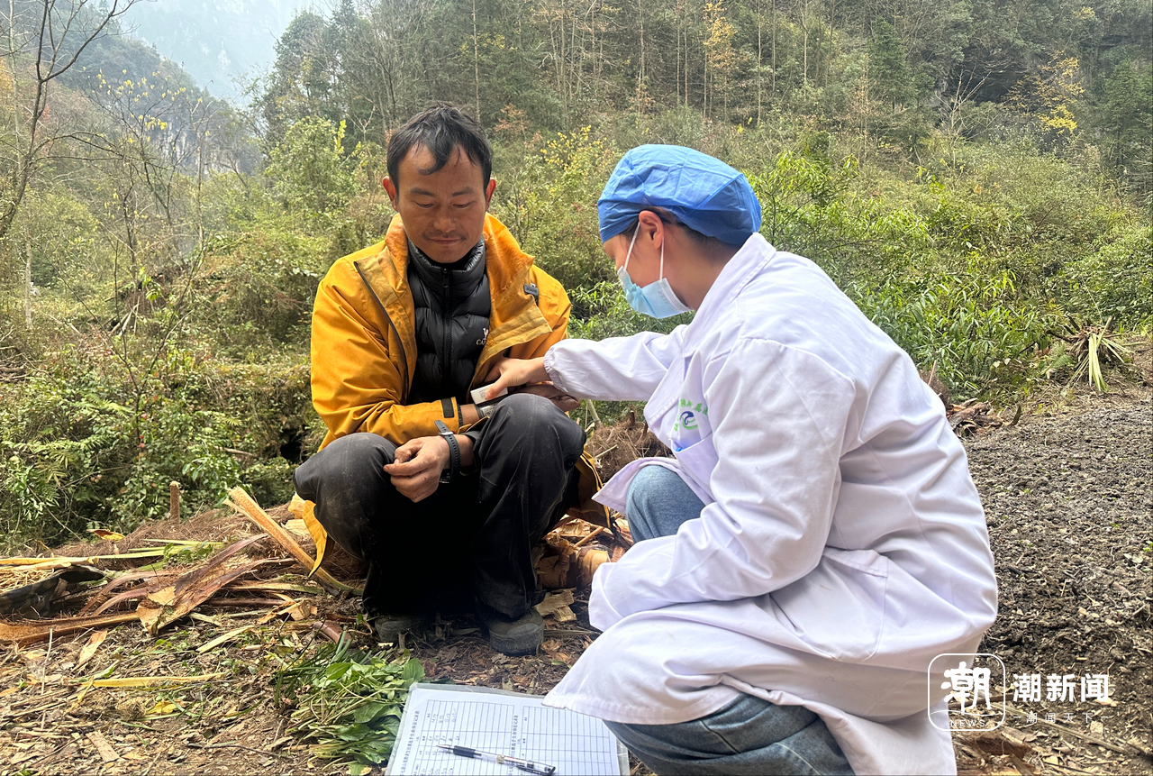 量与规则之间的“荒野求生”凯发入口一场摸索于山野、流(图14)