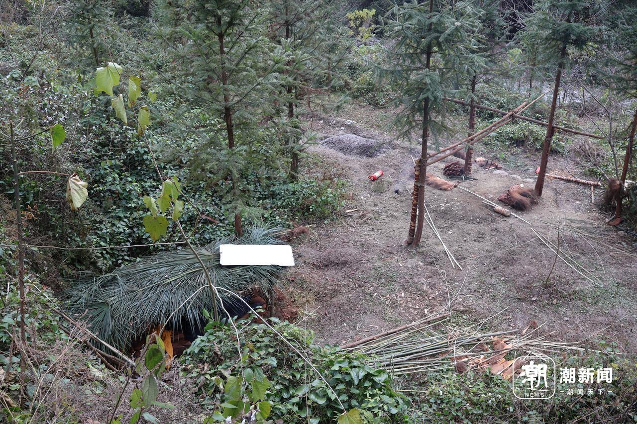 量与规则之间的“荒野求生”凯发入口一场摸索于山野、流(图15)